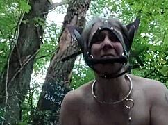 this 2024 forest scene shows a milf bound as a ponygirl slave