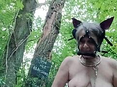 this 2024 forest scene shows a milf bound as a ponygirl slave