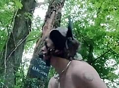 September 4, 2024: Slave F is the ponygirl in the forest