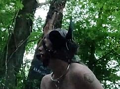 this 2024 forest scene shows a milf bound as a ponygirl slave