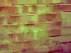 honey let her mom’s bf into her apartment while mom worked