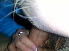 Sexy blonde sucking dick evokes intense pleasure and desire.