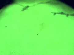 Elizamars Touches Her Body In Retro Solo Scene