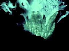 The wonderful world of vintage pornography threesomes with hairy pussy and lesbian group