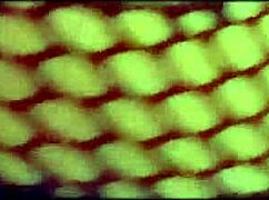 transei gostoso com o mascarado mas ele gozou r�pido demais, deixando creampie no ebony latina