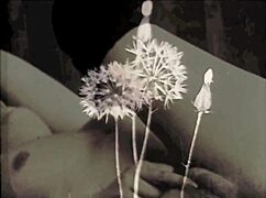 The wonderful world of vintage pornography threesomes with hairy pussy and lesbian group