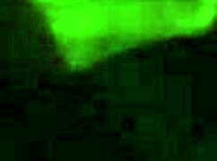 Hidden interracial blowjob in the shadows with intense sucking and deepthroat action!