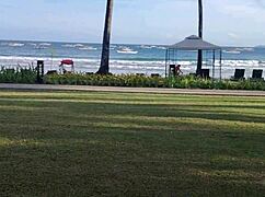 fucking fast like a rabbit to spill this cum