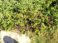 did barbara alves suck on beach trail?