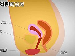 我现在痴迷于这个亚洲内射动作