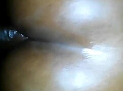 trans bombshell mica borges fucks ass with toys