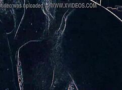 Hot Shemale AI Images Tease With Provocative Poses?