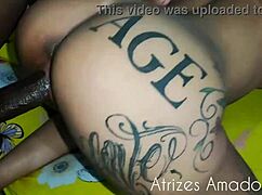 No holes left—all fucked from ass to mouth in hardcore scenes!