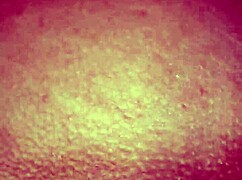 de perrito con remera rosa feels so intense