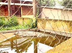 两个游客公园小径激情互探