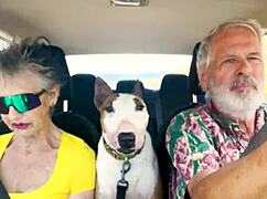 Driving East Oahu, talking sex 😏