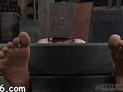 Closeup Fucking Hairy Asian MILF Pussy and Cumming Inside