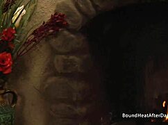 Sensual Lesbian Slave Pleasures Horny Madame With Strapon