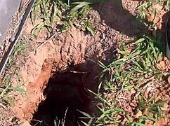 asked the street prostitute how much for a fuck, she said free and led me to the woods for outdoor sex.