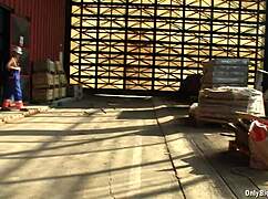 i cant beleive shelby moons huge natural tits are so fun at work, theyre just bouncing around everywhere