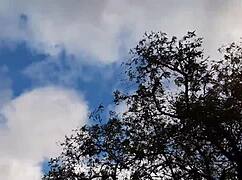 The forester girl and I enjoyed a walk in the hut