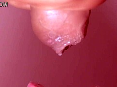 日本老婆和大鸡巴偷情特写