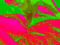 hot girl masturbates after school - sweetmarta