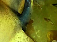 Always wanted a threesome with neighbor and stepsister 😏