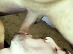 Paulista says, 'I met Carioca on São Paulo streets and dragged her home for assfucking and cum – want to see?'