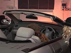 hey, cindy behrr knows exactly how to ride her man’s dick with those stockings on!