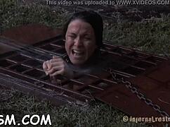 Check out these free sadomasochism sex stories 😊