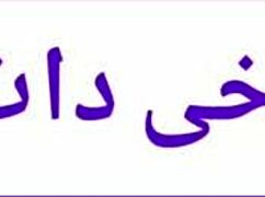 This Iranian housewife MILF shakes her ass while fucking her boyfriend