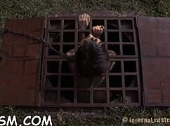 Check out these free sadomasochism sex stories 😊