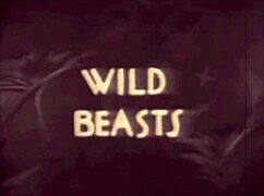 Dark Lantern Unveils Beauty and Beast in Vintage Style