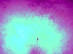 胖邻居操我爽，肥肚BBW小18+奶子爱后入