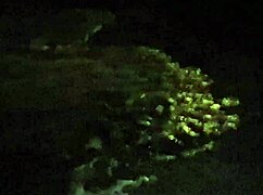 From Casual Dating In Spain To A Hardcore Fuck In The Trailer.