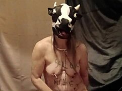 european female slave humiliated in anal souillure, doggystyle, slapping, and orgasm with maledom amateurs. 💦
