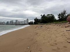 Babe, can I cum on your tits? Public cock flashing on the beach.