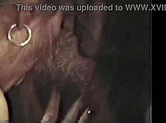 Wanna see a wild vintage seventies porn shoot?