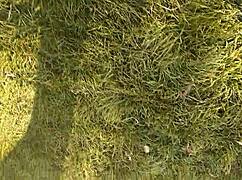 Does Village Girl Masturbate During Lunch? Her Pussy Cums Hard!