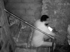 Hidden camera catches stepmom banging her stepson—got a question for her?