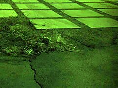 多毛十八岁妹子首次绑缚支配足交被操