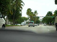 Detailed Vlog of the 2021 Miami Exxxotica Event in Florida