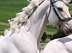 College girl skips class to show big ass in uniform