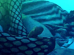 性感丝袜裤袜腿足交诱惑