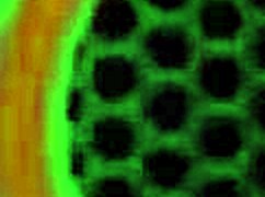 Jelena Jensen enjoys solo shower, playing with big tits 😊