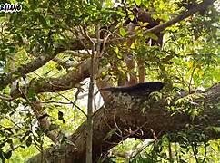 want intense anal banging?