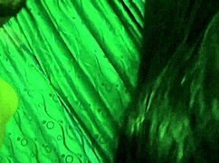 Big Ass Latina Slut Takes Big Black Cock in Pussy