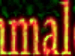 emma lee tv shows tranny getting disciplined and spanked with strapon