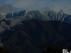 阿德里安娜·切奇克被三根BBC双肛爆操